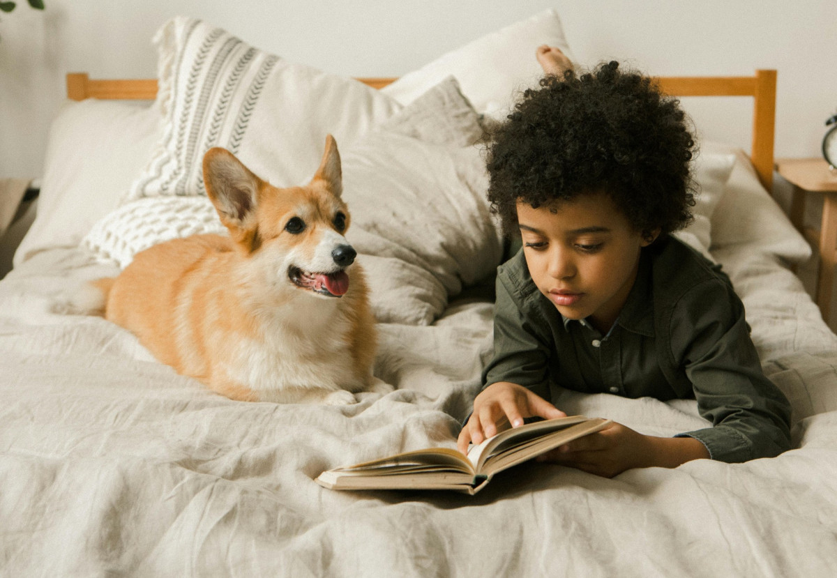 Beter lezen met de hulp van het Huis voor Logopedie