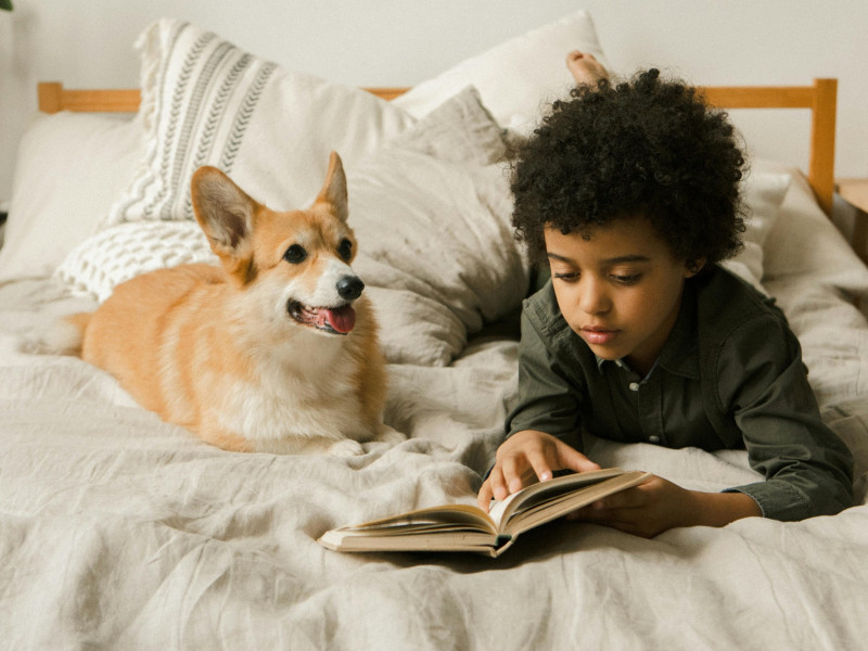 Beter lezen met de hulp van het Huis voor Logopedie